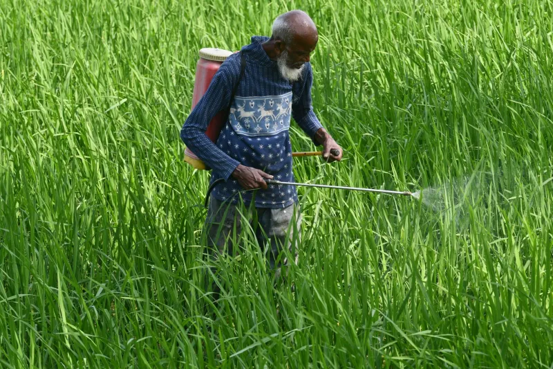 Green Label, Real Chemistry: The Molecular Truth Behind Organic Pesticides
