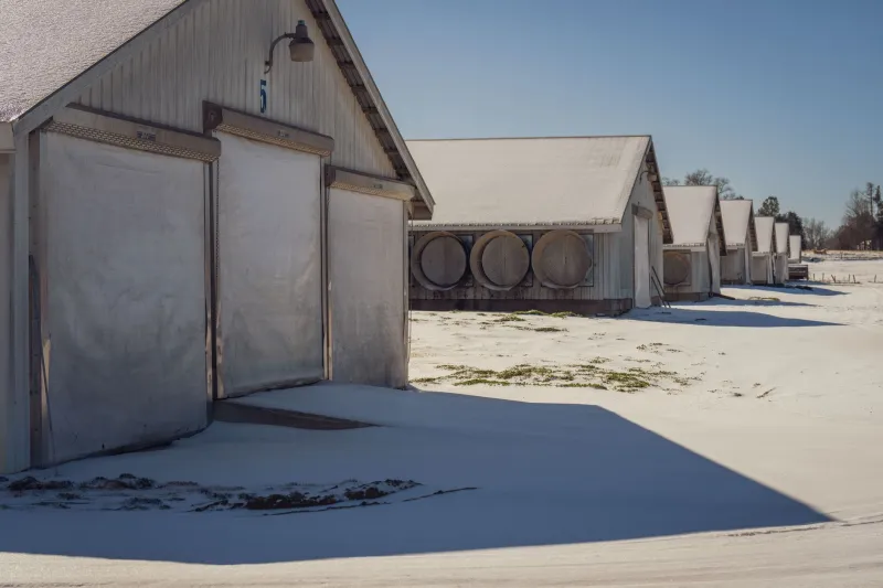 What Happens to Pesticides Before They Ever Reach the Field