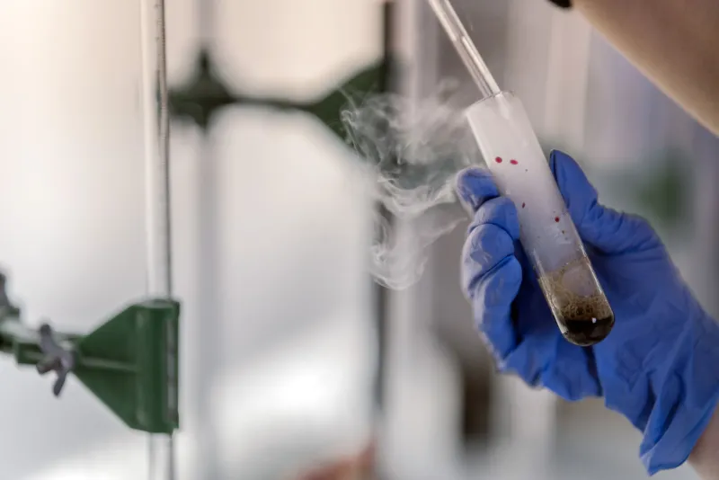 The Cocktail Problem: Why Pesticide Mixtures Defy the Logic of Single-Chemical Safety Testing