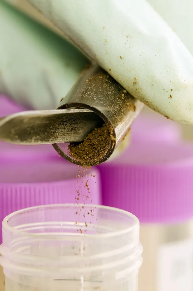 Twelve Compounds, Twelve Clocks: Measuring How Long Pesticides Truly Persist in American Soil
