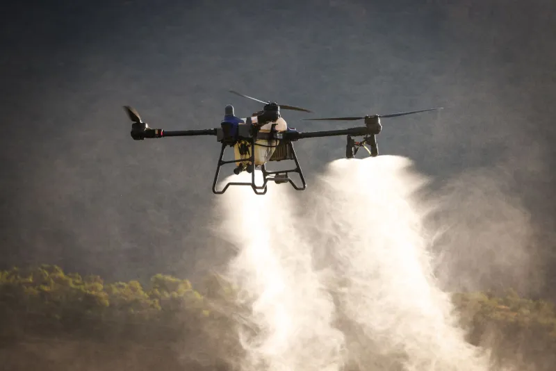 Vapor Without Borders: The Chemistry of Pesticide Volatilization and Its Quiet Toll on Suburban Plant Life