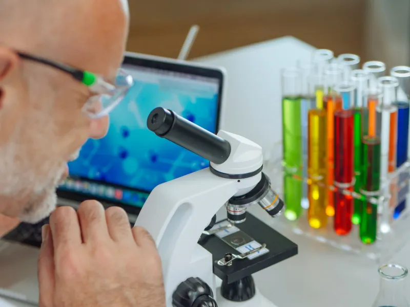 When Breakdown Becomes the Hazard: Investigating Pesticide Metabolites That Surpass Their Parent Compounds in Toxicity